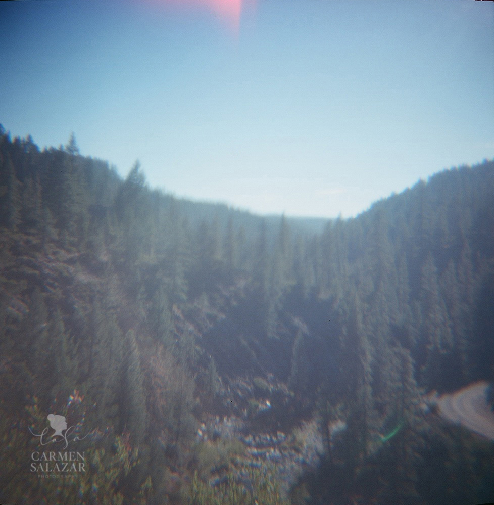 Plumas National Forest photo with Diana camera