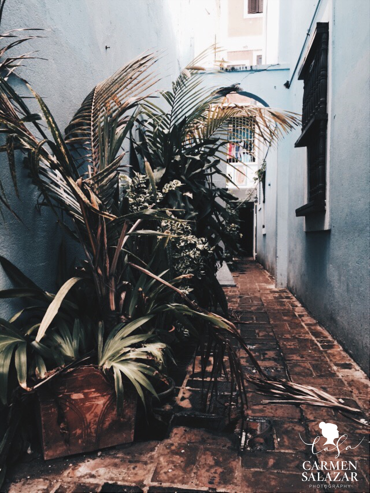 Puerto Rico Destination Photographer with VSCOcam with hb2 preset