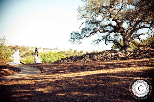 Catta Verdera Wedding {Mandy + AJ} Part 2