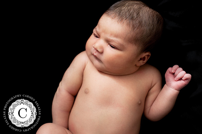 elegant newborn photography