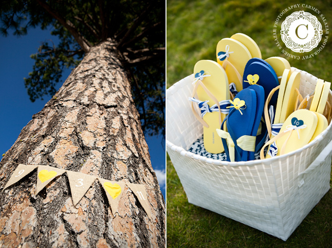 yellow and blue wedding colors by Lake Tahoe wedding photographer