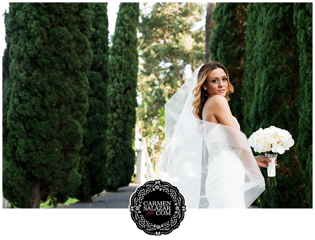 Wispy bridal veil 