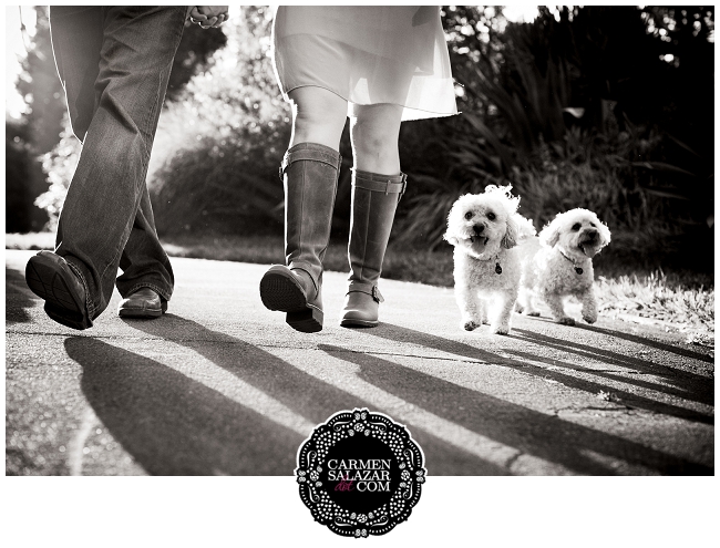 Puppies in engagement shots