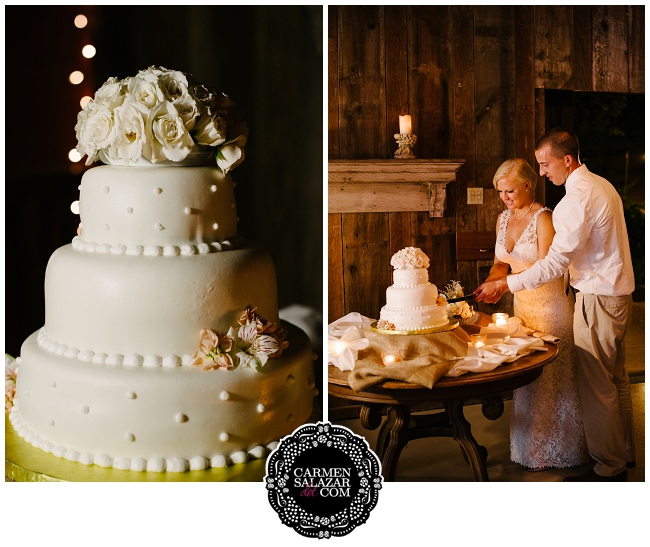 Sweet Cake Cutting Wedding Photo