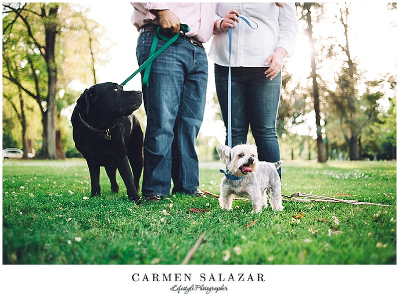 dog Engagement photos in Sacramento