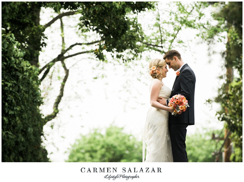 romantic photo of bride and groom with trees