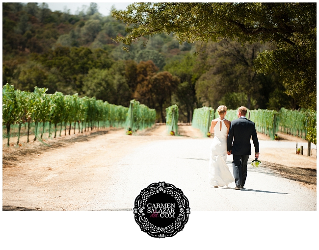 vineyard photography session