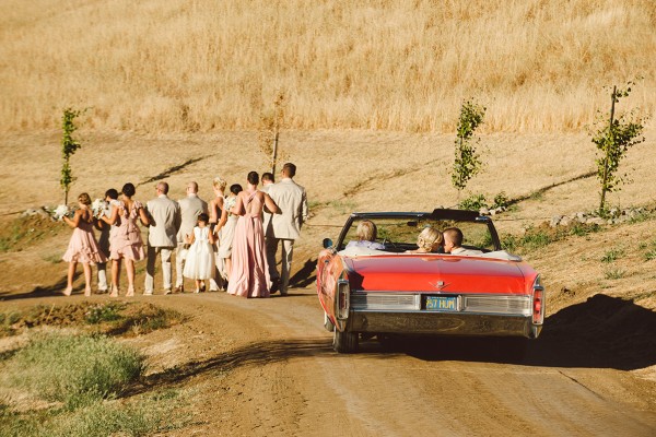 A little sneak peek of some fabulous fall weddings!