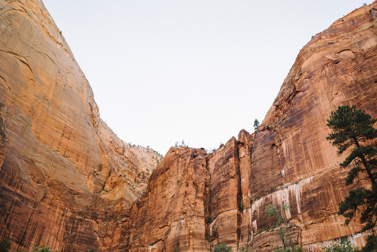 Zion National Park photo of mountain