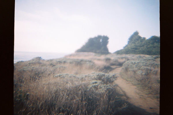 My favorite place on the planet | Sea Ranch