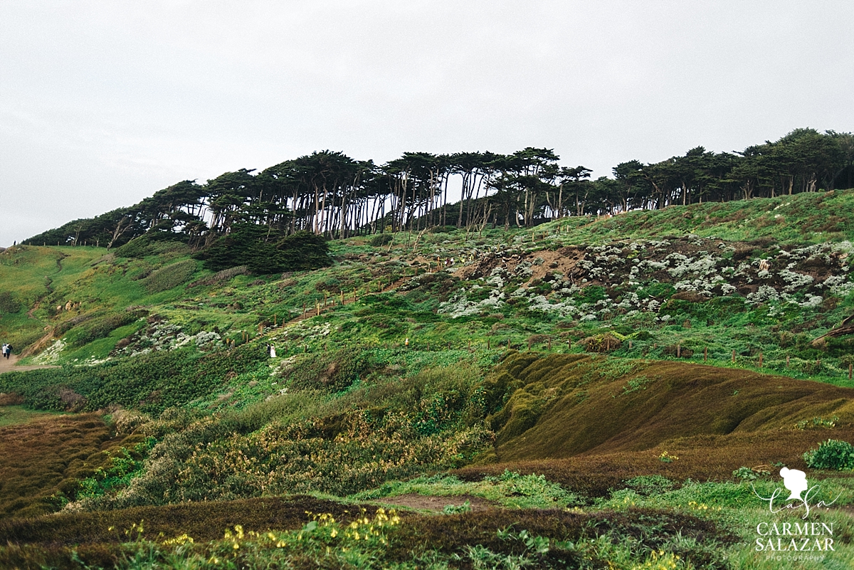 Epic Landscape Wedding Portrait - Carmen Salazar