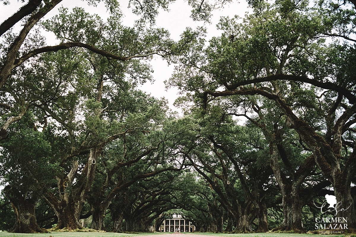 Cobble stone driveway at Louisiana plantation by Carmen Salazar