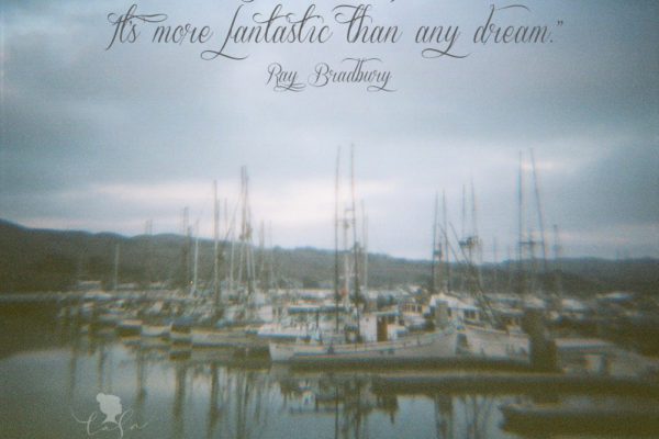 Diana Camera Adventures: Bodega Bay and La Porte, California