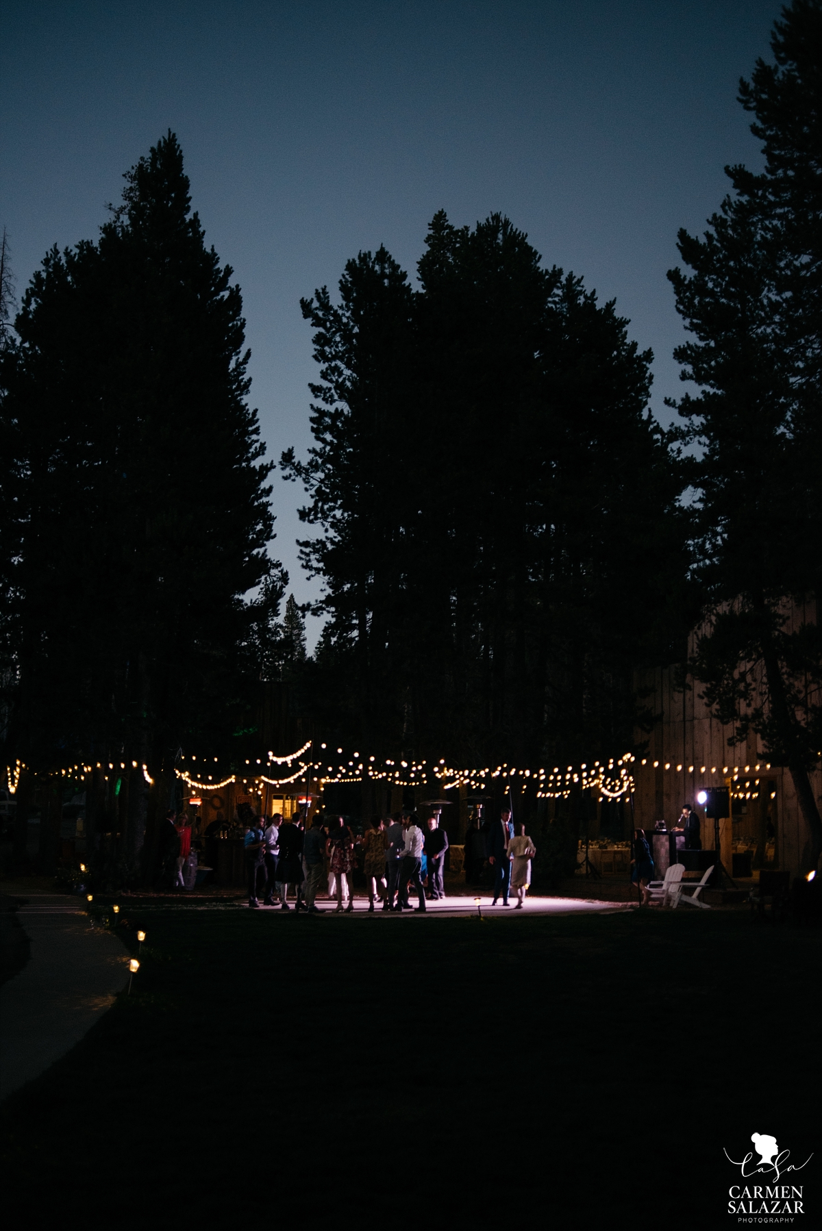 Gorgeous summer outdoor wedding reception in woods - Carmen Salazar