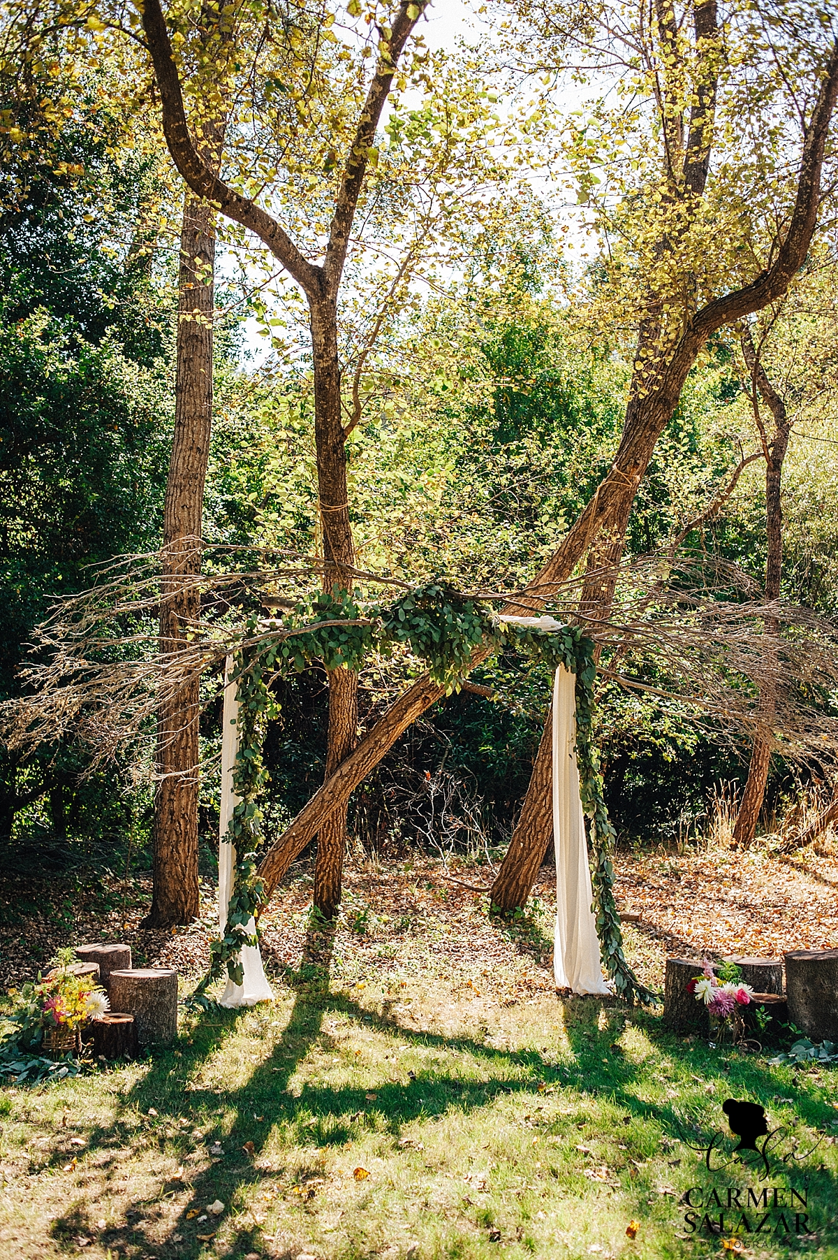 Unique natural foliage wedding arbor - Carmen Salazar