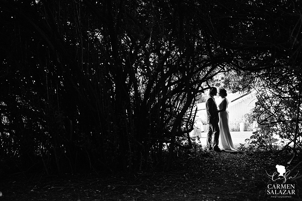 Dramatic bride and groom outdoor silhouette in black and white - Carmen Salazar